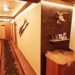 Apart Mountain-feeling Apartment Kappl (Landeck)